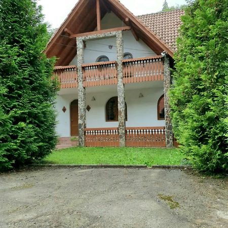 Vila Luca'S Cîrţişoara Екстериор снимка