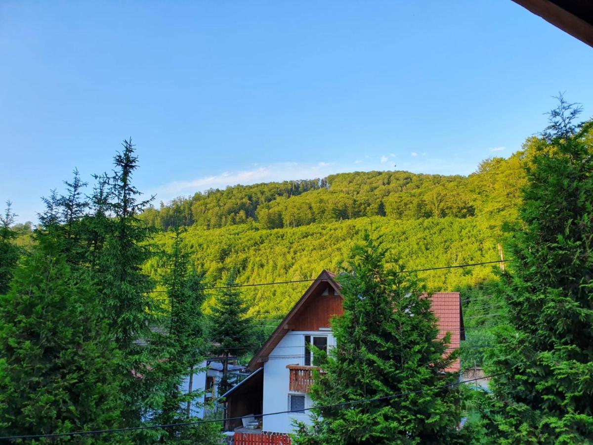 Vila Luca'S Cîrţişoara Екстериор снимка