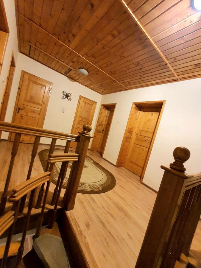 Vila Luca'S Cîrţişoara Екстериор снимка