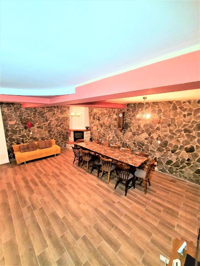 Vila Luca'S Cîrţişoara Екстериор снимка