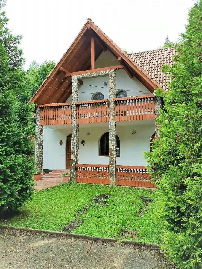 Vila Luca'S Cîrţişoara Екстериор снимка