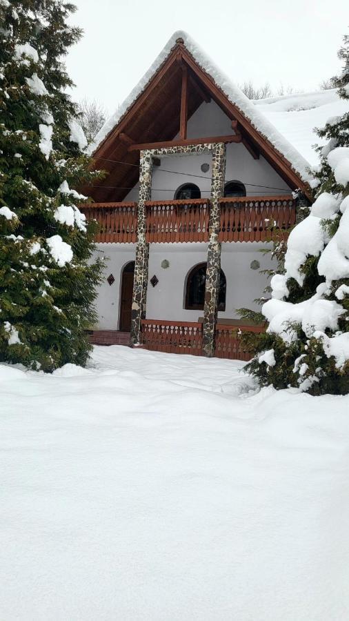 Vila Luca'S Cîrţişoara Екстериор снимка