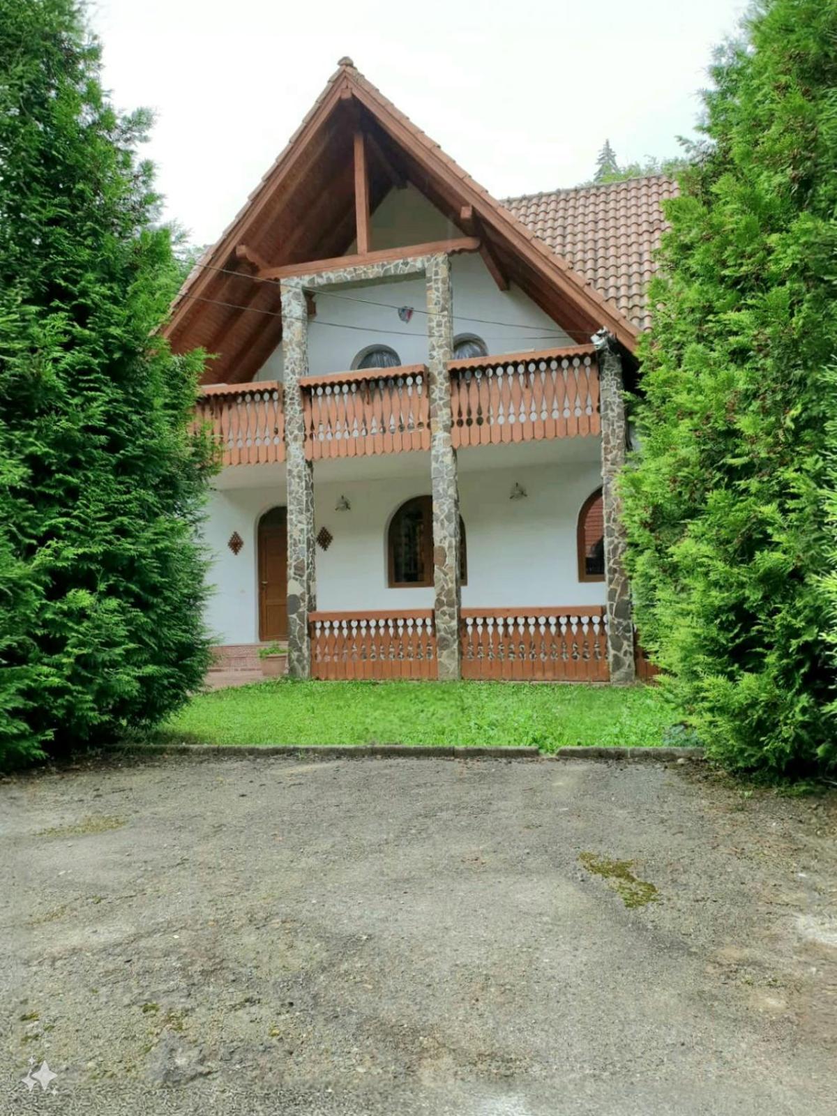 Vila Luca'S Cîrţişoara Екстериор снимка